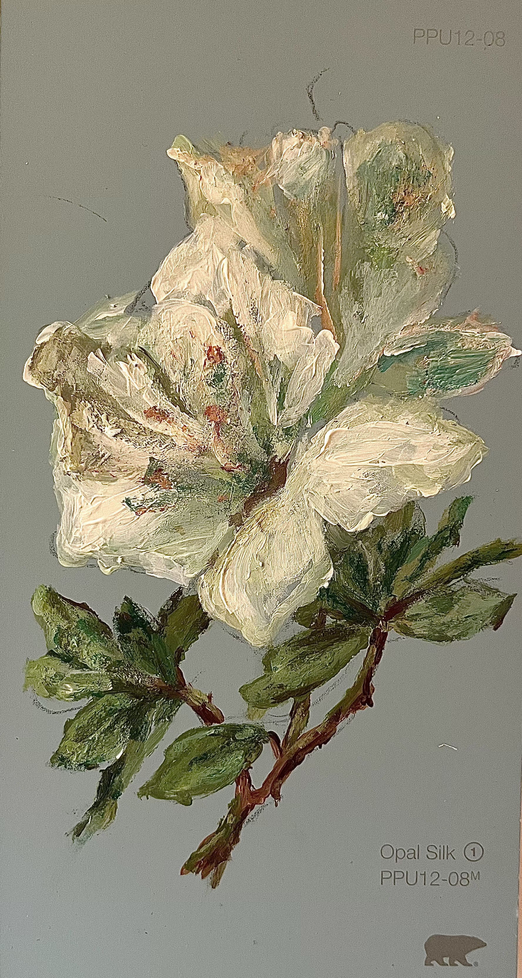 Acrylic Paint Collection